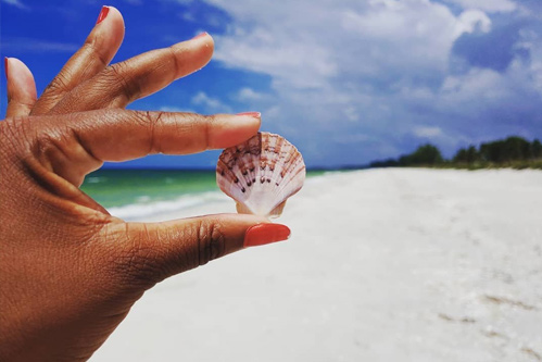 The Beaches of Fort Myers & Sanibel