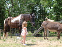 Visit Johnston County, NC