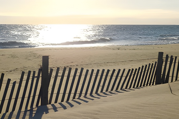 Rehoboth Beach & Dewey Beach
