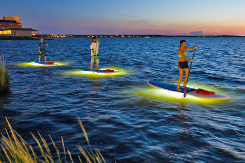 Maryland's Beaches