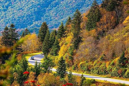Visit Haywood NC