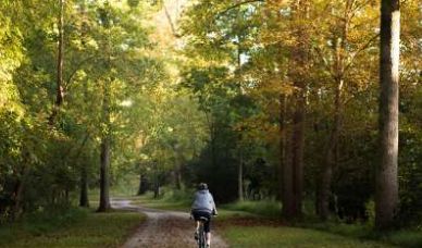 Visit Raleigh