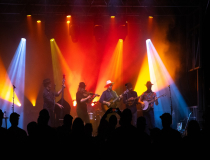 BirdFest - The Ultimate Bluegrass Music Festival