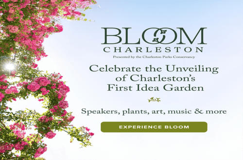 Bloom Charleston