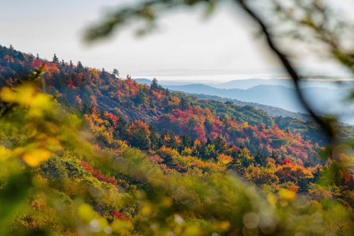 Explore Asheville